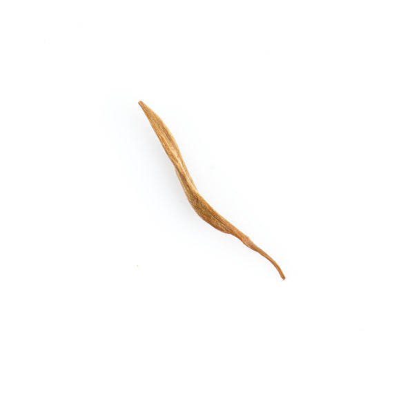Yunnan Golden Needle 滇红金芽