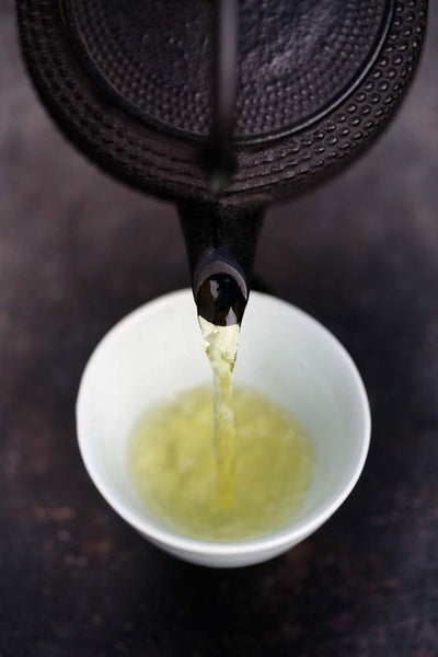 Tea Fundamentals Course
